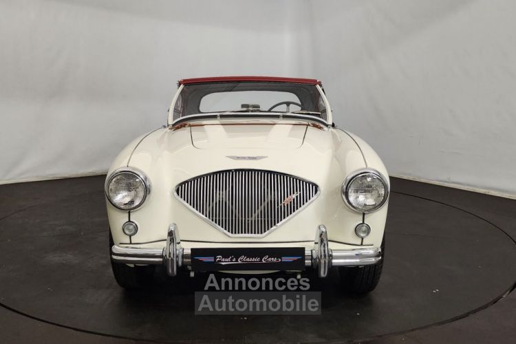 Austin Healey 100 kit Le Mans - <small></small> 115.000 € <small>TTC</small> - #31