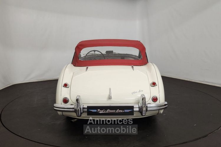 Austin Healey 100 kit Le Mans - <small></small> 115.000 € <small>TTC</small> - #35