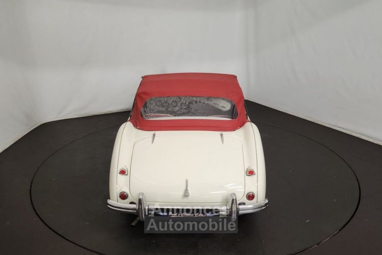 Austin Healey 100 kit Le Mans - <small></small> 115.000 € <small>TTC</small> - #36