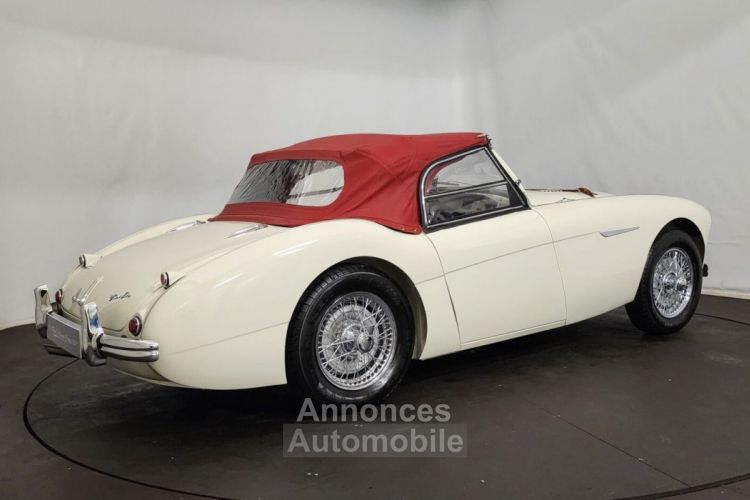 Austin Healey 100 kit Le Mans - <small></small> 115.000 € <small>TTC</small> - #37