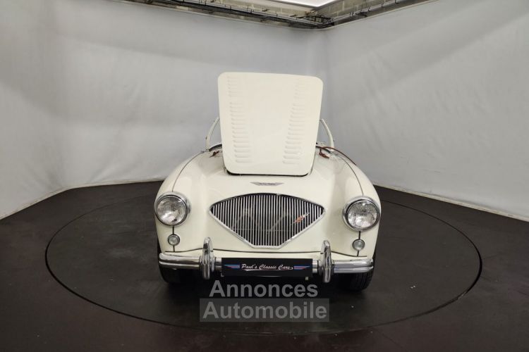 Austin Healey 100 kit Le Mans - <small></small> 115.000 € <small>TTC</small> - #69