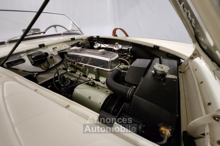 Austin Healey 100 kit Le Mans - <small></small> 115.000 € <small>TTC</small> - #70