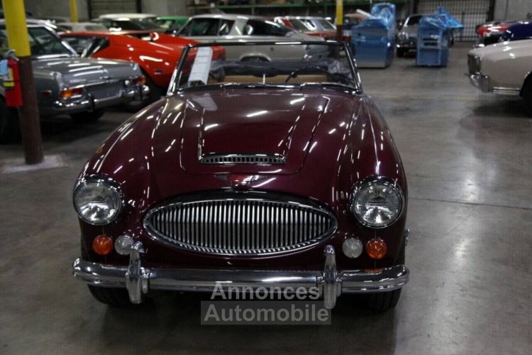 Austin Healey 3000 - <small></small> 103.000 € <small>TTC</small> - #13