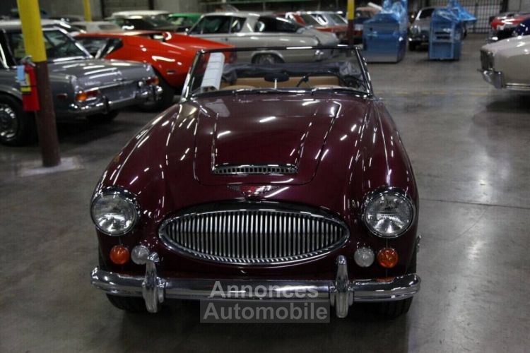 Austin Healey 3000 - <small></small> 103.000 € <small>TTC</small> - #14