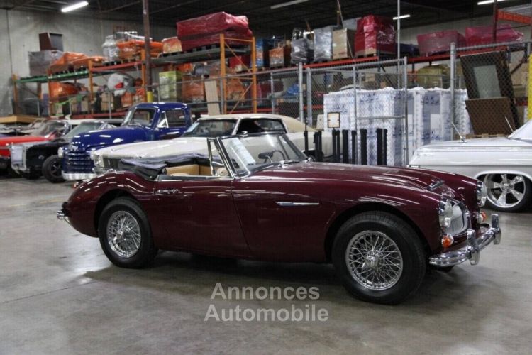 Austin Healey 3000 - <small></small> 103.000 € <small>TTC</small> - #24