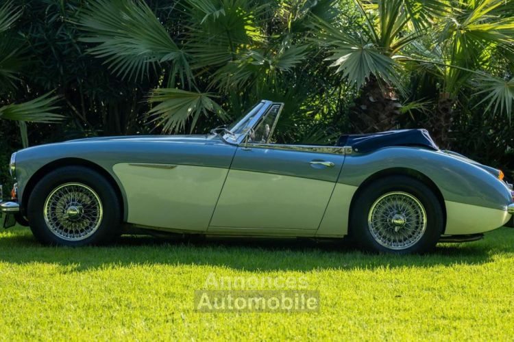 Austin Healey 3000 - <small></small> 87.990 € <small>TTC</small> - #4