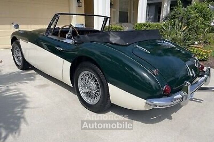 Austin Healey 3000 - <small></small> 61.000 € <small>TTC</small> - #3