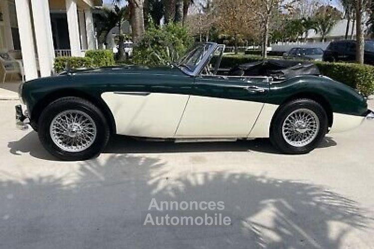 Austin Healey 3000 - <small></small> 61.000 € <small>TTC</small> - #5