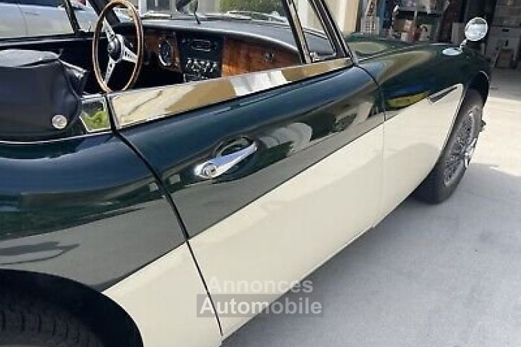 Austin Healey 3000 - <small></small> 61.000 € <small>TTC</small> - #18