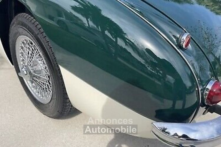 Austin Healey 3000 - <small></small> 61.000 € <small>TTC</small> - #19