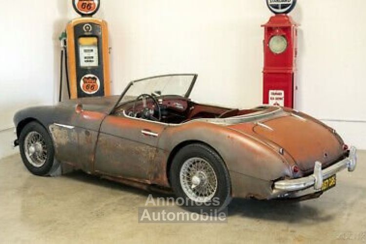 Austin Healey 3000 - <small></small> 20.000 € <small>TTC</small> - #3