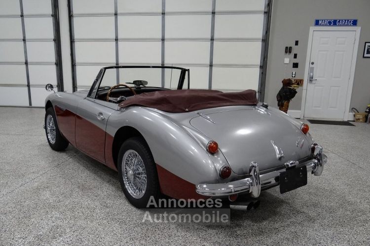 Austin Healey 3000 - <small></small> 58.000 € <small>TTC</small> - #3