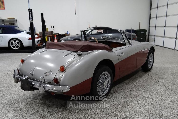 Austin Healey 3000 - <small></small> 58.000 € <small>TTC</small> - #4