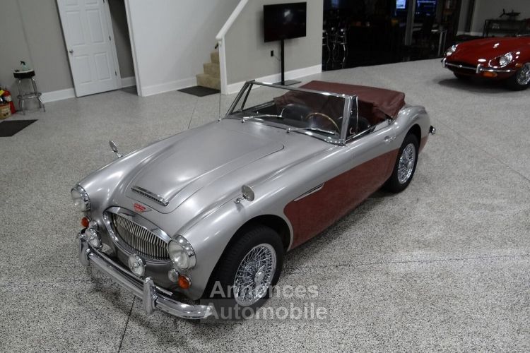 Austin Healey 3000 - <small></small> 58.000 € <small>TTC</small> - #6