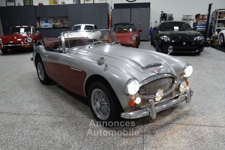 Austin Healey 3000 - <small></small> 58.000 € <small>TTC</small> - #9