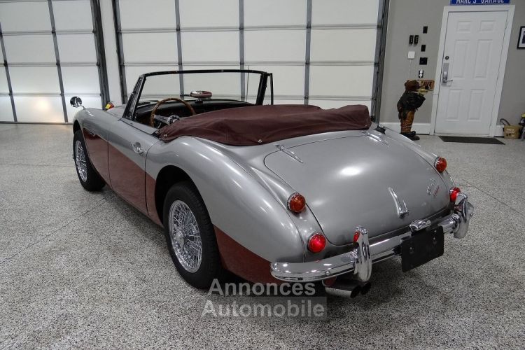 Austin Healey 3000 - <small></small> 58.000 € <small>TTC</small> - #11