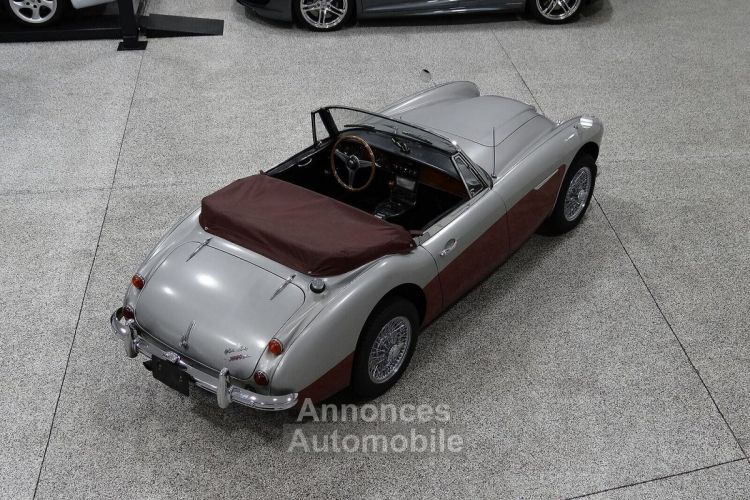 Austin Healey 3000 - <small></small> 58.000 € <small>TTC</small> - #12