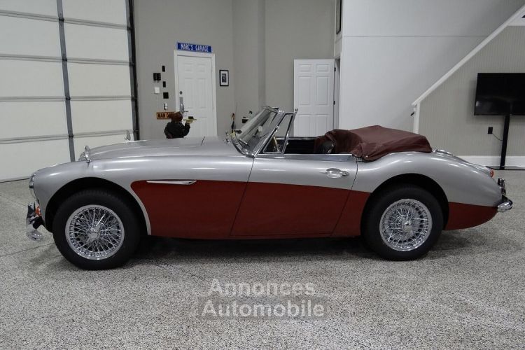 Austin Healey 3000 - <small></small> 58.000 € <small>TTC</small> - #13