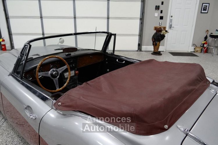 Austin Healey 3000 - <small></small> 58.000 € <small>TTC</small> - #14