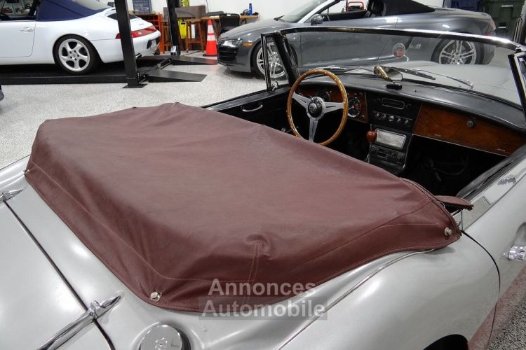 Austin Healey 3000 - <small></small> 58.000 € <small>TTC</small> - #15