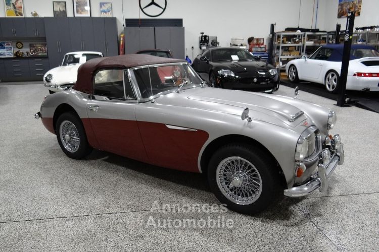 Austin Healey 3000 - <small></small> 58.000 € <small>TTC</small> - #16