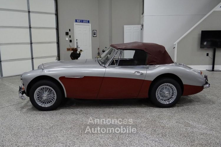 Austin Healey 3000 - <small></small> 58.000 € <small>TTC</small> - #17