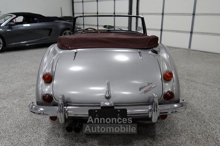 Austin Healey 3000 - <small></small> 58.000 € <small>TTC</small> - #33