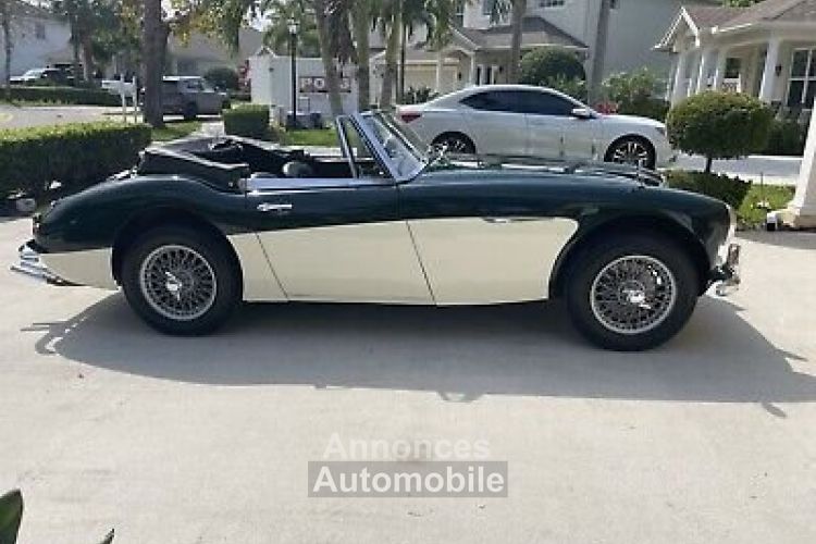 Austin Healey 3000 - <small></small> 63.000 € <small>TTC</small> - #4