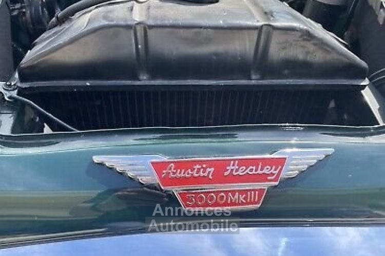 Austin Healey 3000 - <small></small> 63.000 € <small>TTC</small> - #12