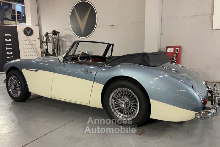 Austin Healey 3000  - <small></small> 64.750 € <small>TTC</small> - #10