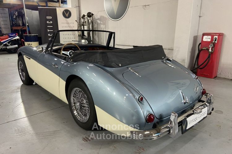 Austin Healey 3000  - <small></small> 64.750 € <small>TTC</small> - #11