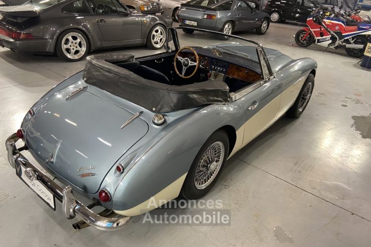 Austin Healey 3000  - <small></small> 64.750 € <small>TTC</small> - #15