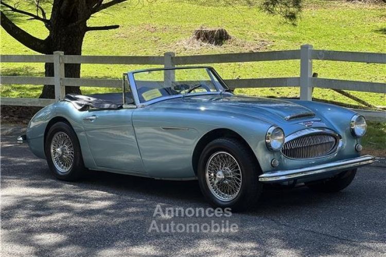 Austin Healey 3000 - <small></small> 65.400 € <small>TTC</small> - #3