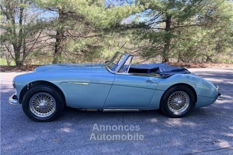 Austin Healey 3000 - <small></small> 65.400 € <small>TTC</small> - #5