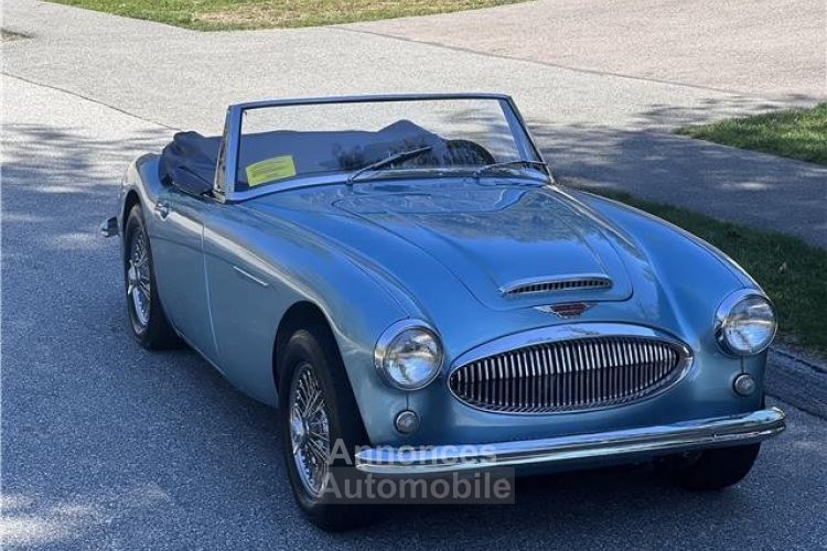 Austin Healey 3000 - <small></small> 65.400 € <small>TTC</small> - #9