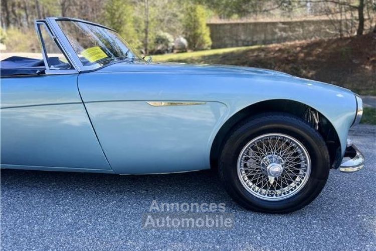 Austin Healey 3000 - <small></small> 65.400 € <small>TTC</small> - #16