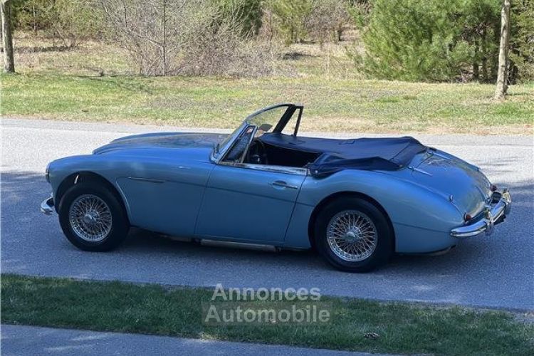 Austin Healey 3000 - <small></small> 65.400 € <small>TTC</small> - #19