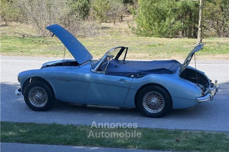 Austin Healey 3000 - <small></small> 65.400 € <small>TTC</small> - #37