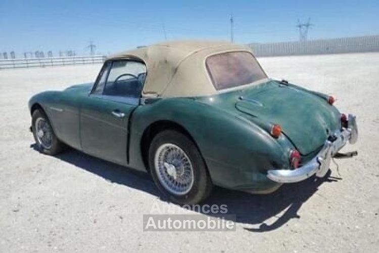 Austin Healey 3000 - <small></small> 37.500 € <small>TTC</small> - #5