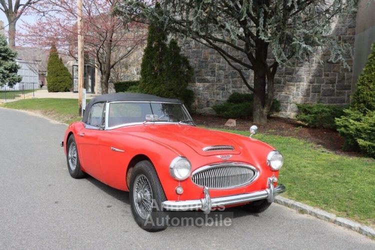 Austin Healey 3000 - <small></small> 55.500 € <small>TTC</small> - #1