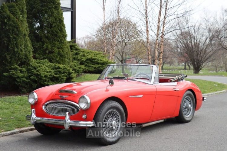 Austin Healey 3000 - <small></small> 55.500 € <small>TTC</small> - #2