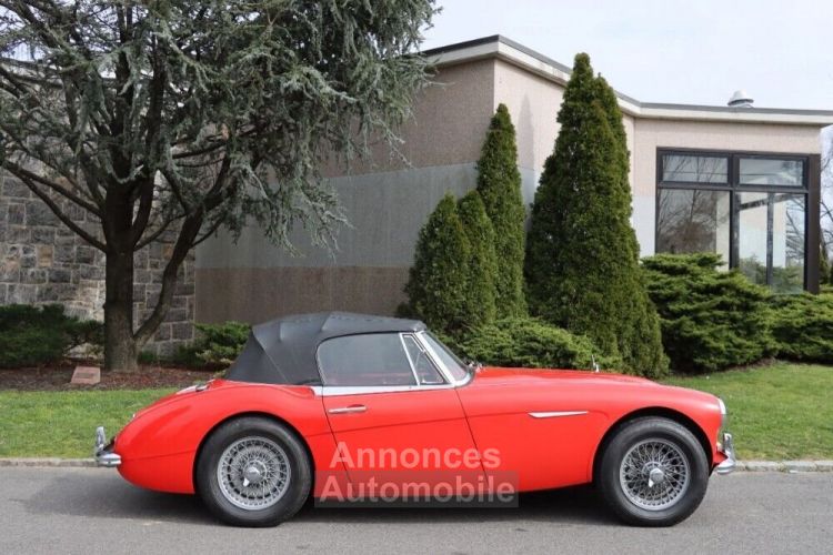 Austin Healey 3000 - <small></small> 55.500 € <small>TTC</small> - #3