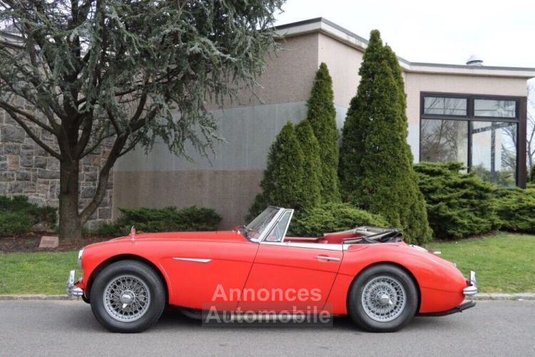 Austin Healey 3000 - <small></small> 55.500 € <small>TTC</small> - #4