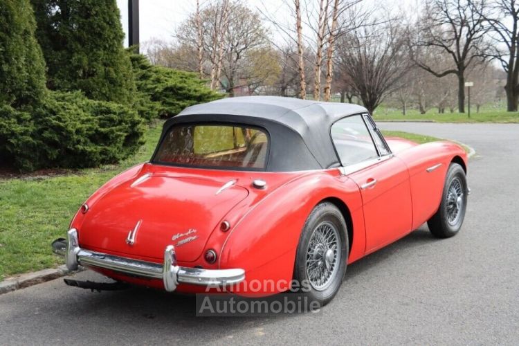 Austin Healey 3000 - <small></small> 55.500 € <small>TTC</small> - #5