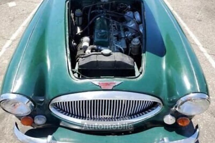 Austin Healey 3000 - <small></small> 37.100 € <small>TTC</small> - #8