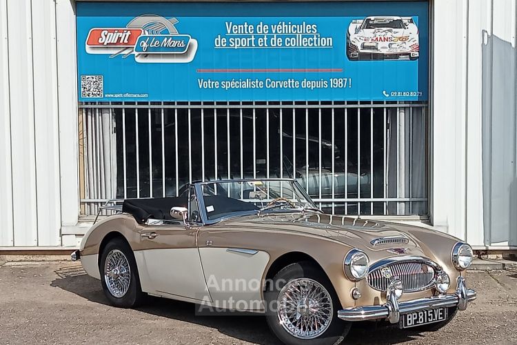 Austin Healey 3000 MK2 BJ7 - <small></small> 64.900 € <small>TTC</small> - #3