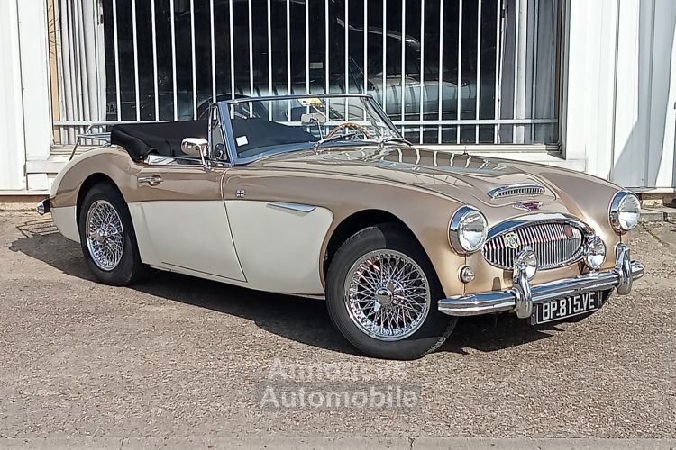 Austin Healey 3000 MK2 BJ7 - <small></small> 64.900 € <small>TTC</small> - #4