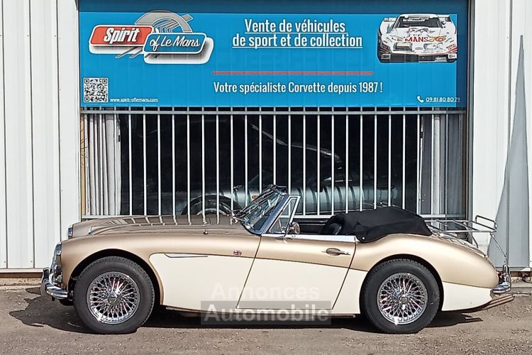 Austin Healey 3000 MK2 BJ7 - <small></small> 64.900 € <small>TTC</small> - #7