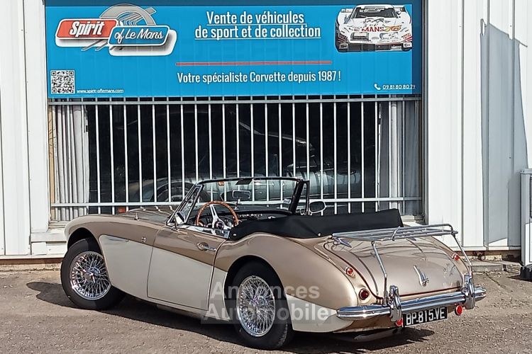 Austin Healey 3000 MK2 BJ7 - <small></small> 64.900 € <small>TTC</small> - #8