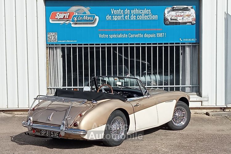 Austin Healey 3000 MK2 BJ7 - <small></small> 64.900 € <small>TTC</small> - #10